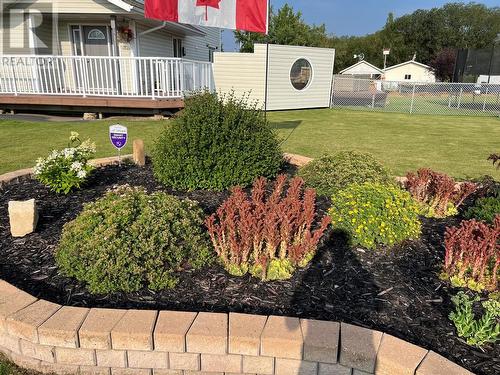 10681 Cottonwood Cresent, Dawson Creek, BC - Outdoor With Deck Patio Veranda