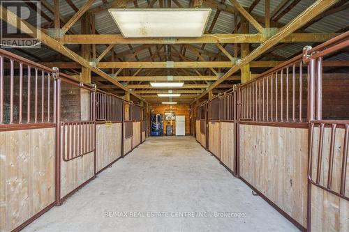 12509 Dublin Line, Halton Hills, ON - Indoor Photo Showing Basement