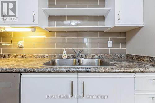 509 - 26 Hall Road, Halton Hills, ON - Indoor Photo Showing Kitchen With Double Sink