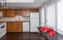 1007 - 54 East Liberty Street, Toronto, ON  - Indoor Photo Showing Kitchen With Double Sink 