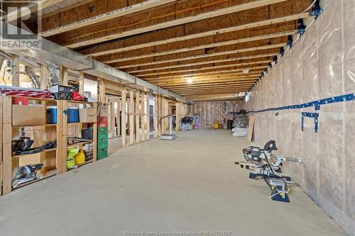 4411 Belmont Avenue, Lakeshore, ON - Indoor Photo Showing Basement