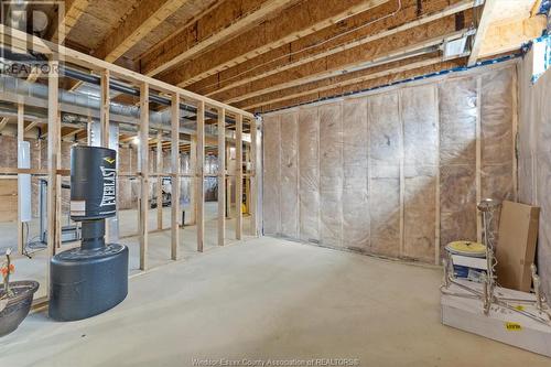 4411 Belmont Avenue, Lakeshore, ON - Indoor Photo Showing Basement