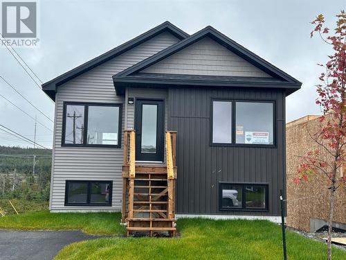 29 Leonard J.Cowley Street, St. John'S, NL - Outdoor