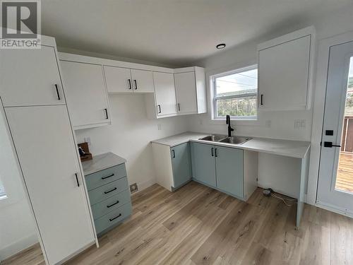 29 Leonard J.Cowley Street, St. John'S, NL - Indoor Photo Showing Kitchen With Double Sink