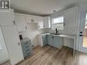 29 Leonard J.Cowley Street, St. John'S, NL  - Indoor Photo Showing Kitchen With Double Sink 