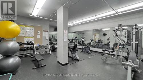 313 - 260 Davis Drive, Newmarket, ON - Indoor Photo Showing Gym Room