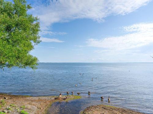 Vue sur l'eau - 313-18 Ch. Du Bord-Du-Lac-Lakeshore, Pointe-Claire, QC - Outdoor With Body Of Water With View