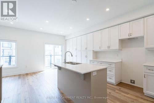 11 Raspberry Lane, Hamilton, ON - Indoor Photo Showing Kitchen With Double Sink