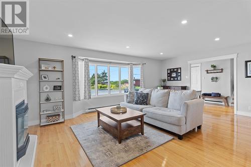 19 Bar Haven Heights, Arnold'S Cove, NL - Indoor Photo Showing Living Room