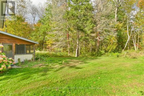 4388 Henderson Road, North Frontenac, ON - Outdoor