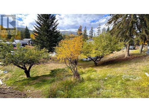 2821 Black Bear  Crescent, Kimberley, BC - Outdoor With View