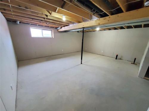 61 Falcon Bay, Ste Anne, MB - Indoor Photo Showing Basement