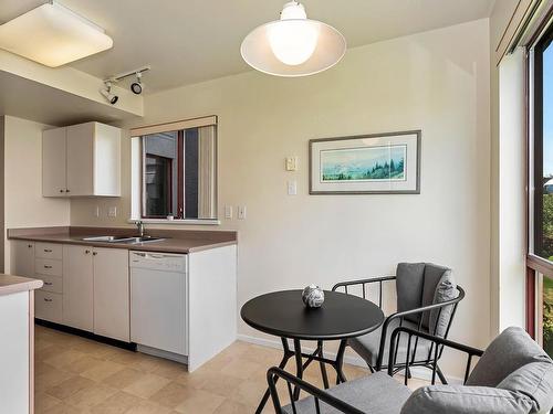 307-520 Dunedin St, Victoria, BC - Indoor Photo Showing Kitchen With Double Sink