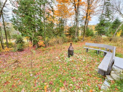 Backyard - 600 Ch. Olivier, Saint-Côme, QC - Outdoor