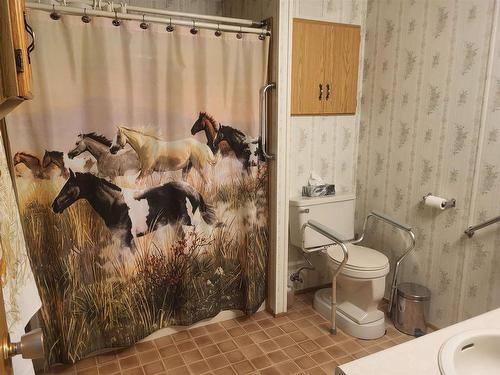 22 4650 Hwy 11/17, Kakabeka  Falls, ON - Indoor Photo Showing Bathroom