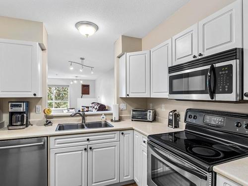 311-1120 Hugh Allan Drive, Kamloops, BC - Indoor Photo Showing Kitchen With Double Sink