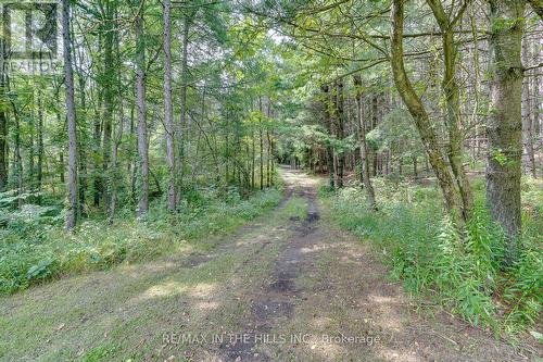 Lot 11 Concession 4 Escarpment Side Road, Caledon, ON 