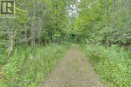 Lot 11 Concession 4 Escarpment Side Road, Caledon, ON 