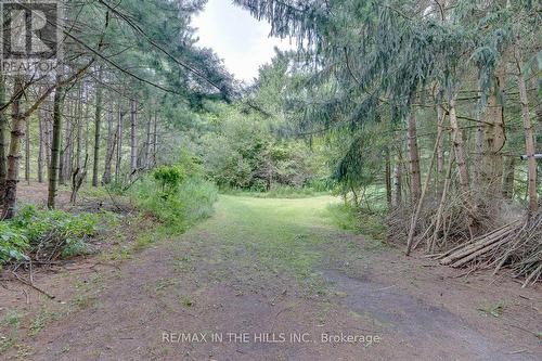 Lot 11 Concession 4 Escarpment Side Road, Caledon, ON 