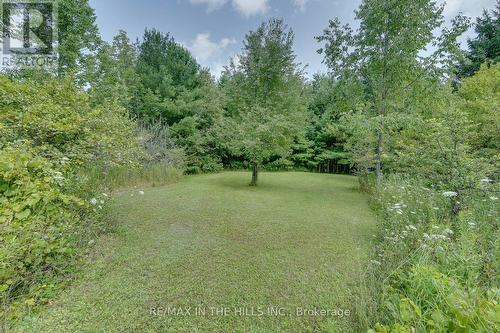 Lot 11 Concession 4 Escarpment Side Road, Caledon, ON 