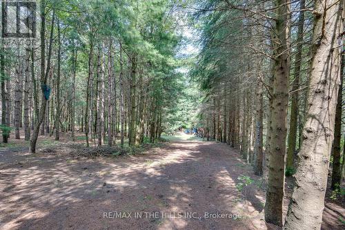 Lot 11 Concession 4 Escarpment Side Road, Caledon, ON 