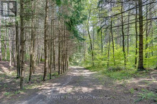 Lot 11 Concession 4 Escarpment Side Road, Caledon, ON 