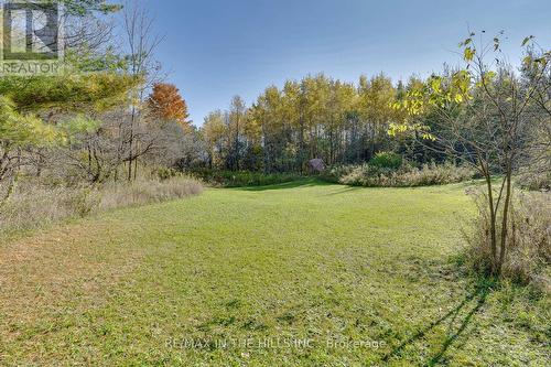 Lot 11 Concession 4 Escarpment Side Road, Caledon, ON 