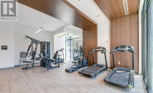 513 - 25 Neighbourhood Lane, Toronto, ON - Indoor Photo Showing Gym Room