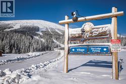 248 Wapiti Creek Road  Mount Baldy, BC V0H 1T0