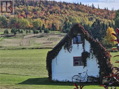 1205 Route 380, New Denmark, NB - Outdoor With View