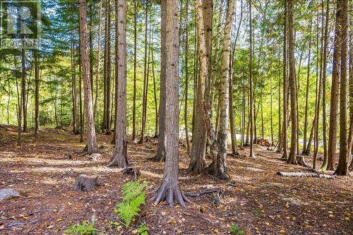 2290 Crystal Springs Road, Nelson, BC - Outdoor With View