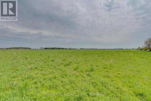 284342 Dufferin County 10 Road, Amaranth, ON 