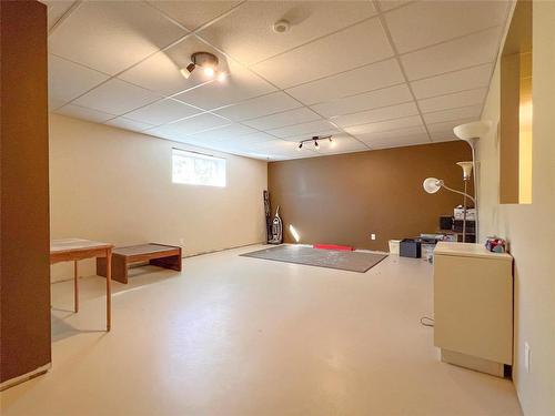 9 Robbies Drive, Carberry, MB - Indoor Photo Showing Basement