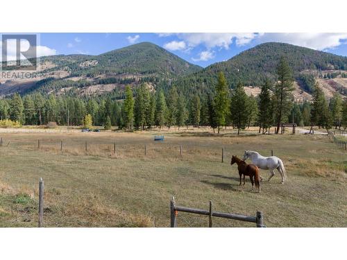 4493 93 Highway, Grasmere, BC - Outdoor With View