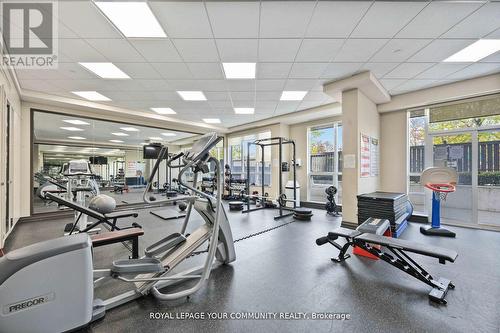 419 - 35 Saranac Boulevard, Toronto, ON - Indoor Photo Showing Gym Room