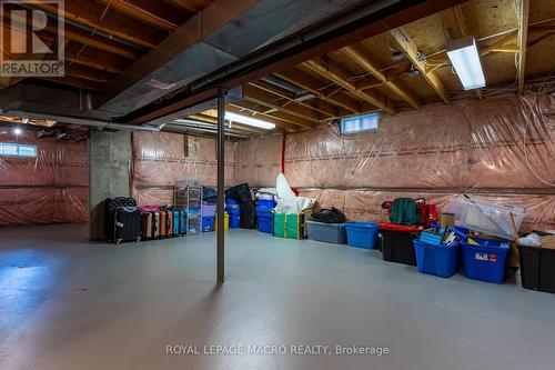 14 Coopershawk Crescent, Hamilton, ON - Indoor Photo Showing Basement