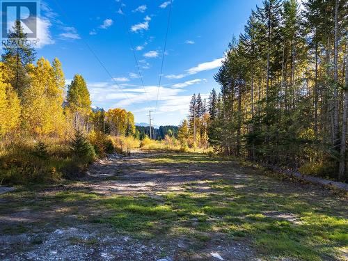 2191 Campbell Road, Golden, BC - Outdoor With View