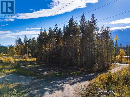 2191 Campbell Road, Golden, BC - Outdoor With View