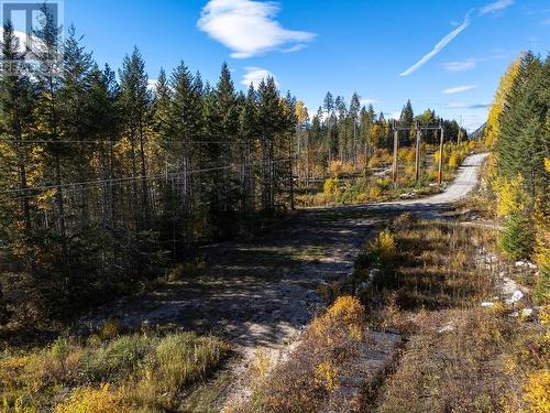 2191 Campbell Road, Golden, BC - Outdoor With View