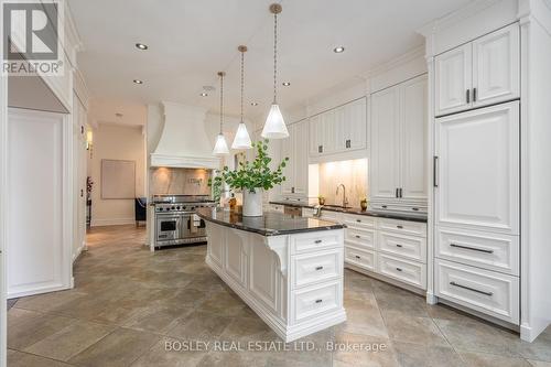 115 Rosemary Lane, Hamilton, ON - Indoor Photo Showing Kitchen With Upgraded Kitchen