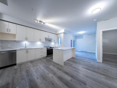 201-20 Barsby Ave, Nanaimo, BC - Indoor Photo Showing Kitchen