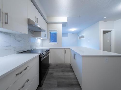 201-20 Barsby Ave, Nanaimo, BC - Indoor Photo Showing Kitchen