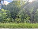 Lot 35 Viewmount Avenue, Trent Hills, ON 