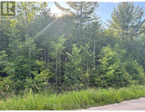 Lot 35 Viewmount Avenue, Trent Hills, ON 