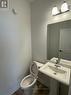 35 - 55 Tom Brown Drive, Brant, ON  - Indoor Photo Showing Bathroom 