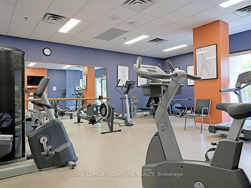 405-3 Concorde Pl, Toronto, ON - Indoor Photo Showing Gym Room