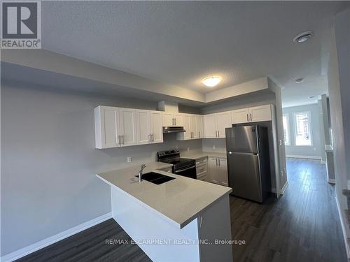 18 Aqua Lane, Hamilton, ON - Indoor Photo Showing Kitchen With Double Sink