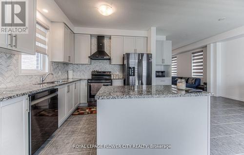 51 Beauchamp Drive, Cambridge, ON - Indoor Photo Showing Kitchen With Upgraded Kitchen