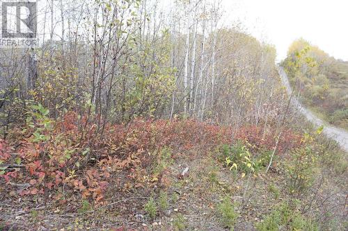 Lot 1A Campbells Road, Timiskaming Remote Area, ON 