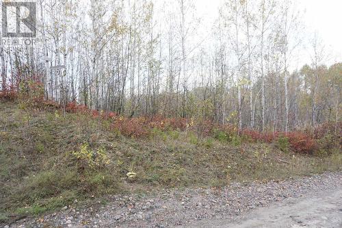 Lot 1A Campbells Road, Timiskaming Remote Area, ON 